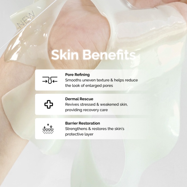 Dirty Whale Botanical Barrier Revive Mask (Box Packaging | 4 ea)